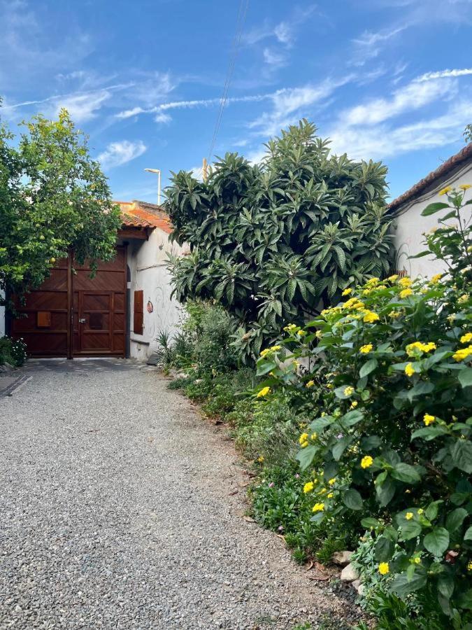 Ferienwohnung Casa Di Rosy San Sperate Exterior foto